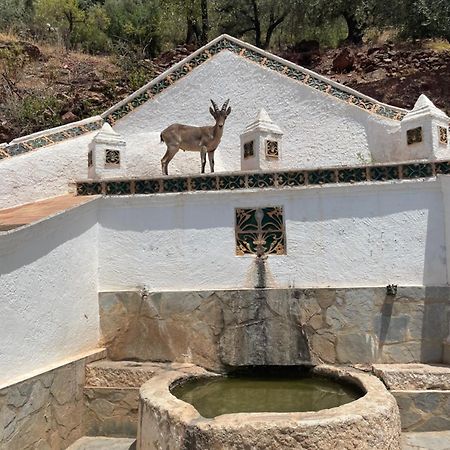 Viva Espana Comares ภายนอก รูปภาพ