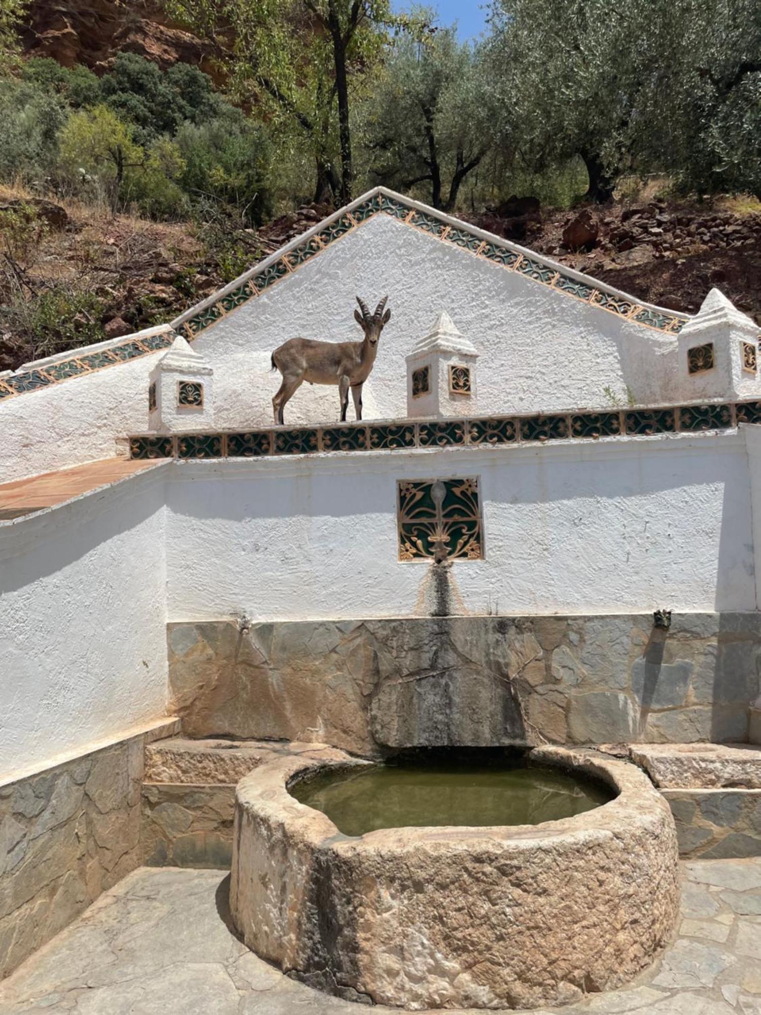 Viva Espana Comares ภายนอก รูปภาพ